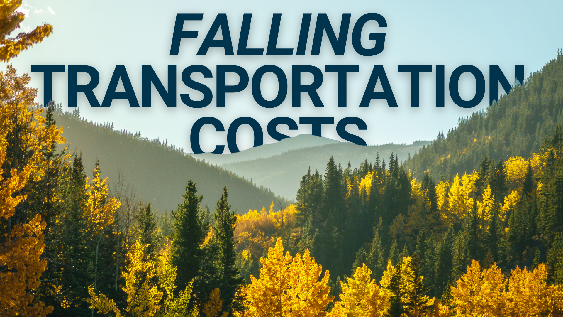 Illustrated forest with "Falling Transportation Costs" title in the background