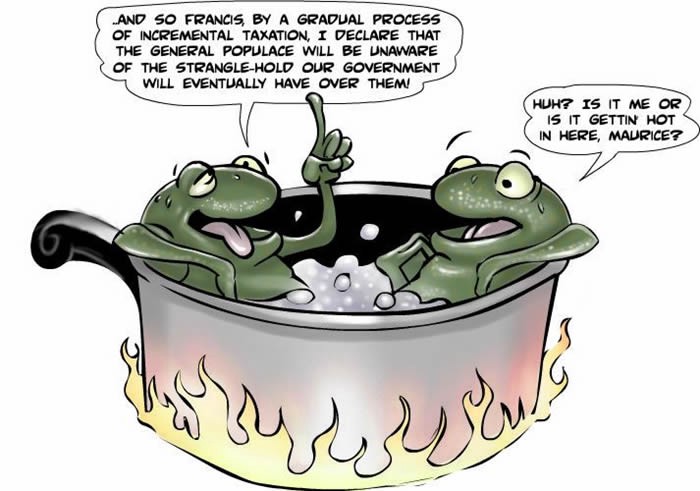 Two frogs in a pot of boiling water discussing how the government slowly increases taxes and GRIs
